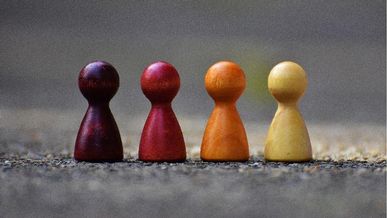 La Franchise individuelle, la franchise principale (Master) vs. La franchise territoriale (multi-franchise)